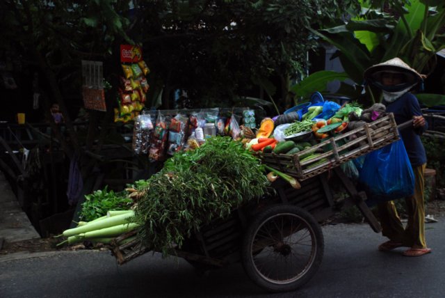 freshproduce.jpg