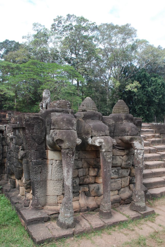 elephantterracesteps.jpg
