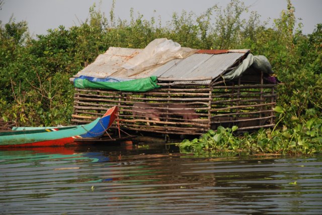 floatingpigsty.jpg