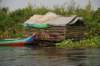 floatingpigsty_small.jpg