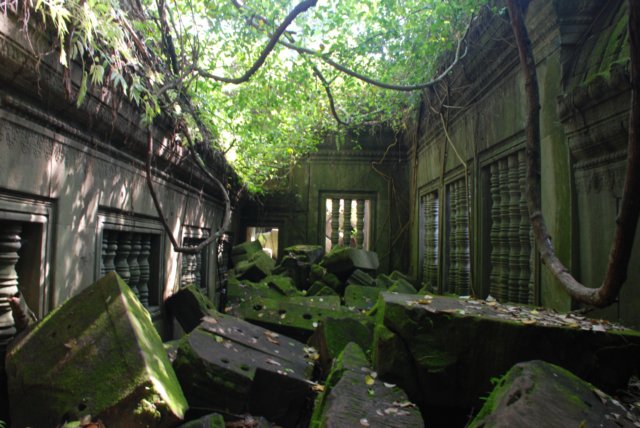 dsc_06753.jpg